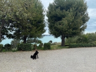 Visualizza le foto dell'immobile
