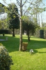 Visualizza le foto dell'immobile