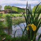 Vai alla scheda immobile