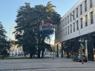 immagine annuncio 4 di 8