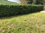 Visualizza le foto dell'immobile