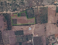 Visualizza le foto dell'immobile