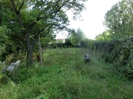 immagine annuncio 5 di 8