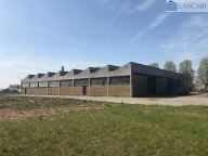 immagine annuncio 4 di 8