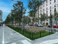 immagine annuncio 3 di 6