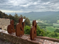 immagine annuncio 3 di 8
