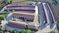 immagine annuncio 4 di 8