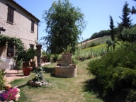 immagine annuncio 3 di 8
