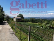 Visualizza le foto dell'immobile