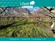 Visualizza le foto dell'immobile