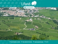 Visualizza le foto dell'immobile