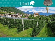 Visualizza le foto dell'immobile