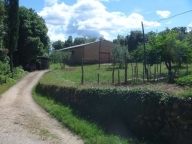 immagine annuncio 4 di 6