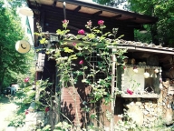 immagine annuncio 4 di 8