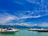 immagine annuncio 4 di 8