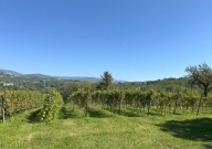 Visualizza le foto dell'immobile Visualizza le foto dell'immobile