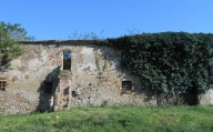 immagine annuncio 5 di 8