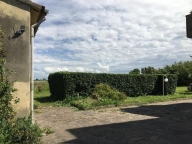 immagine annuncio 4 di 8