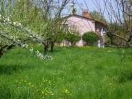 immagine annuncio 7 di 8
