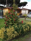 casa semindipendente in vendita a Massa in zona Marina di Massa