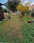 immagine annuncio 0 di 8