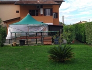 immagine annuncio 2 di 8