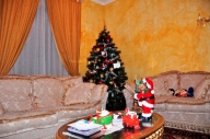 immagine annuncio 3 di 8