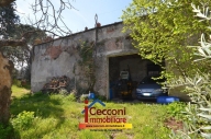 immagine annuncio 5 di 8