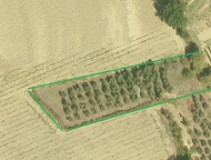 Visualizza le foto dell'immobile