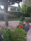 immagine annuncio 0 di 8