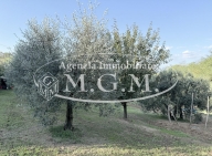 Visualizza le foto dell'immobile