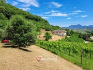 Visualizza le foto dell'immobile