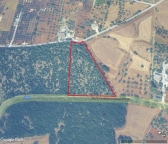 Visualizza le foto dell'immobile