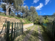 immagine annuncio 4 di 8