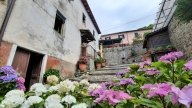 immagine annuncio 4 di 8