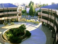 immagine annuncio 2 di 8