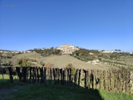 immagine annuncio 7 di 8