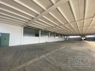 immagine annuncio 4 di 8