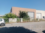 immagine annuncio 4 di 8