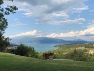 immagine annuncio 1 di 8