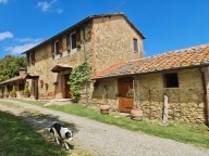 immagine annuncio 5 di 8