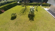 casa indipendente in vendita a Viareggio