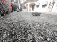 Visualizza le foto dell'immobile