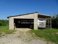 immagine annuncio 4 di 8