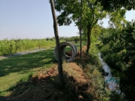 immagine annuncio 2 di 8