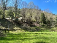 immagine annuncio 6 di 8