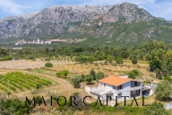 Visualizza le foto dell'immobile
