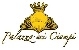 logo Palazzo dei Ciompi