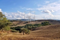 immagine annuncio 4 di 8