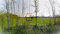 immagine annuncio 4 di 8
